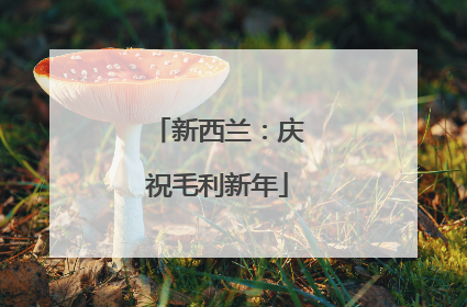 新西兰：庆祝毛利新年