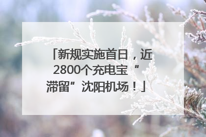 新规实施首日，近2800个充电宝“滞留”沈阳机场！