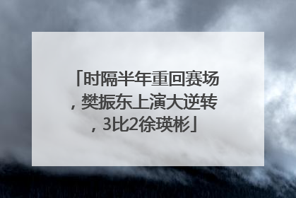 时隔半年重回赛场，樊振东上演大逆转，3比2徐瑛彬