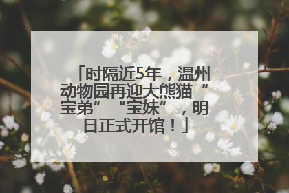 时隔近5年，温州动物园再迎大熊猫“宝弟”“宝妹”，明日正式开馆！