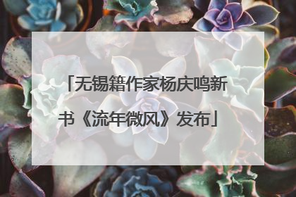 无锡籍作家杨庆鸣新书《流年微风》发布