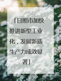 日照市加快推进新型工业化，发展新质生产力成效显著