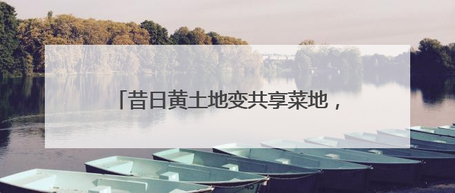 昔日黄土地变共享菜地，不仅环境美了，市民多了体验乐趣，村民还能增收