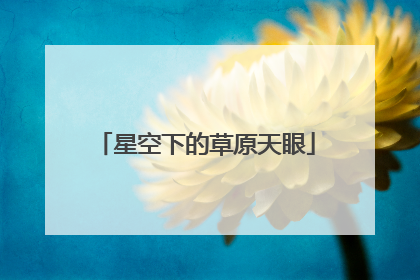 星空下的草原天眼