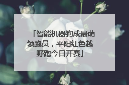 智能机器狗成最萌领跑员，平阳红色越野跑今日开赛