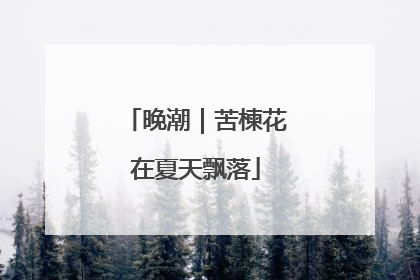 晚潮｜苦楝花在夏天飘落