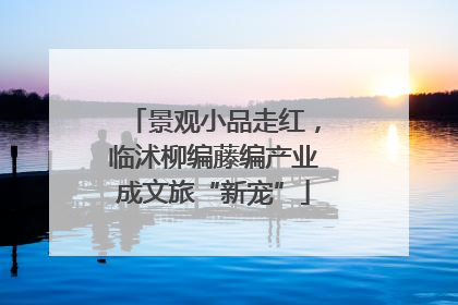 景观小品走红，临沭柳编藤编产业成文旅“新宠”