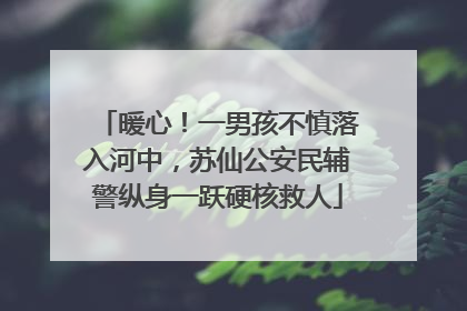 暖心！一男孩不慎落入河中，苏仙公安民辅警纵身一跃硬核救人