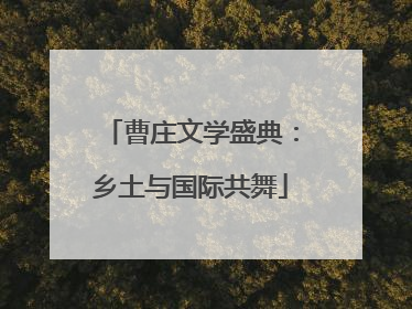 曹庄文学盛典：乡土与国际共舞