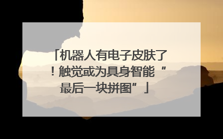 机器人有电子皮肤了！触觉或为具身智能“最后一块拼图”