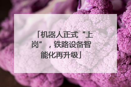 机器人正式“上岗”，铁路设备智能化再升级