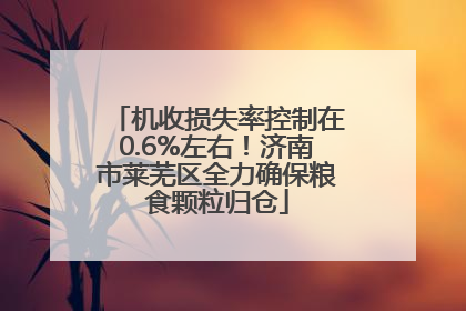 机收损失率控制在0.6%左右！济南市莱芜区全力确保粮食颗粒归仓