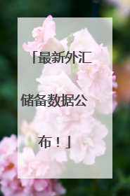 最新外汇储备数据公布！