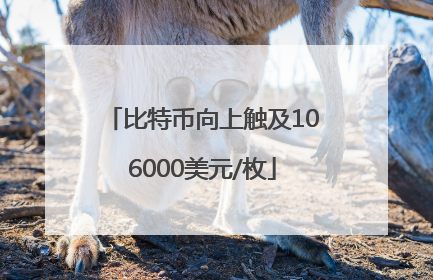 比特币向上触及106000美元/枚
