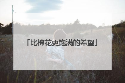 比棉花更饱满的希望