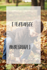 毛伟明在衡阳调研