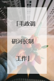毛政调研河长制工作