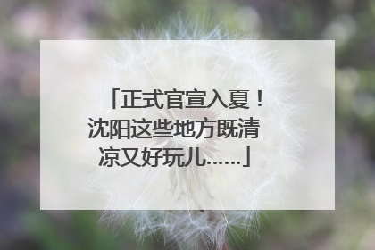 正式官宣入夏！沈阳这些地方既清凉又好玩儿……