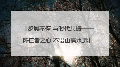 步履不停 与时代共振——怀仁者之心 不畏山高水远