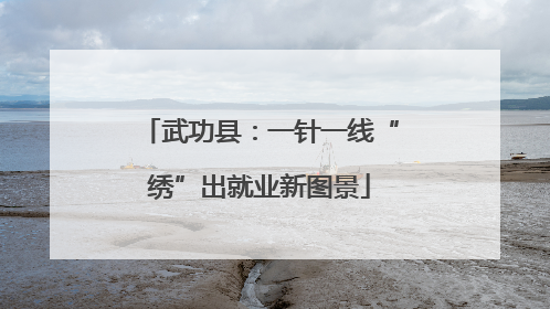武功县：一针一线“绣”出就业新图景