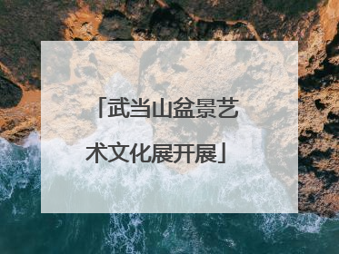 武当山盆景艺术文化展开展