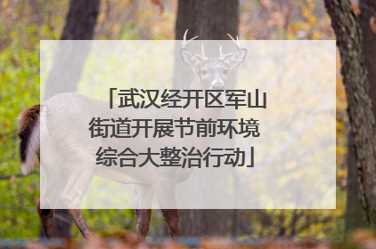 武汉经开区军山街道开展节前环境综合大整治行动
