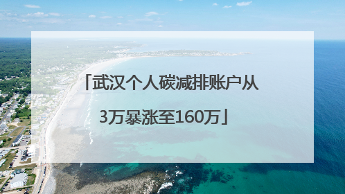 武汉个人碳减排账户从3万暴涨至160万