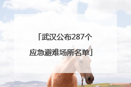 武汉公布287个应急避难场所名单