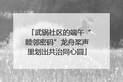 武锅社区的端午“睦邻密码”龙舟桨声里划出共治同心圆