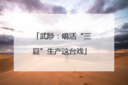 武陟：唱活“三夏”生产这台戏