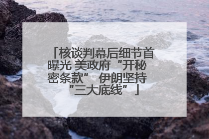 核谈判幕后细节首曝光 美政府“开秘密条款” 伊朗坚持“三大底线”