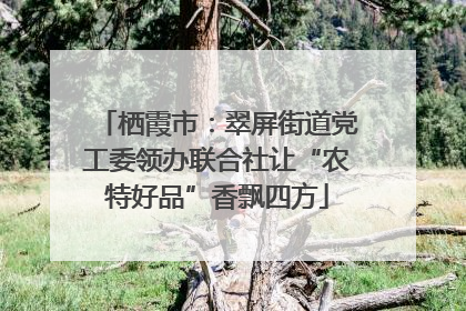栖霞市：翠屏街道党工委领办联合社让“农特好品”香飘四方