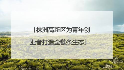 株洲高新区为青年创业者打造全链条生态
