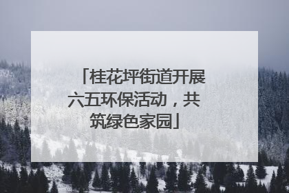桂花坪街道开展六五环保活动，共筑绿色家园