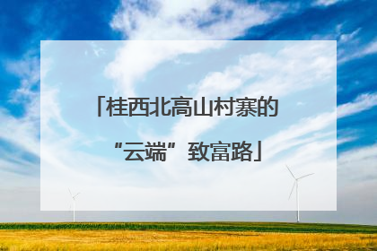 桂西北高山村寨的“云端”致富路