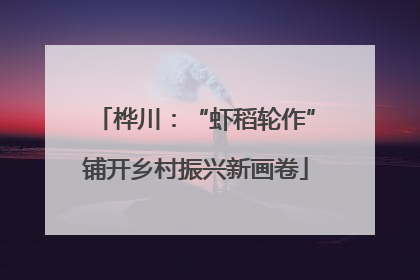 桦川：“虾稻轮作”铺开乡村振兴新画卷