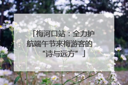 梅河口站：全力护航端午节来梅游客的“诗与远方”
