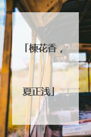 楝花香，夏正浅
