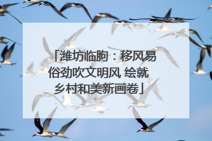 潍坊临朐：移风易俗劲吹文明风 绘就乡村和美新画卷