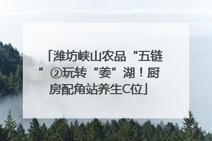 潍坊峡山农品“五链”②玩转“姜”湖！厨房配角站养生C位