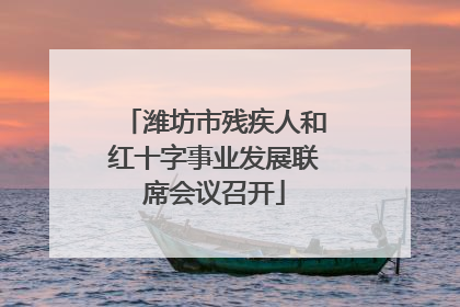 潍坊市残疾人和红十字事业发展联席会议召开