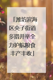 潍坊滨海区央子街道多措并举全力护航粮食丰产丰收