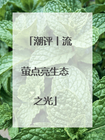 潮评丨流萤点亮生态之光