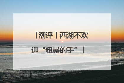 潮评丨西湖不欢迎“粗暴的手”