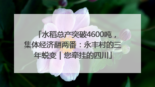 水稻总产突破4600吨，集体经济翻两番：永丰村的三年蜕变｜您牵挂的四川