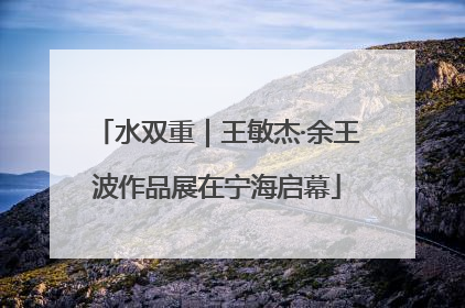水双重｜王敏杰·余王波作品展在宁海启幕