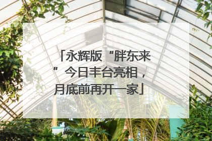 永辉版“胖东来”今日丰台亮相，月底前再开一家