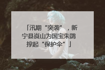 汛期“突袭”，新宁县崀山为国宝朱鹮撑起“保护伞”