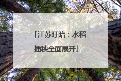 江苏盱眙：水稻插秧全面展开