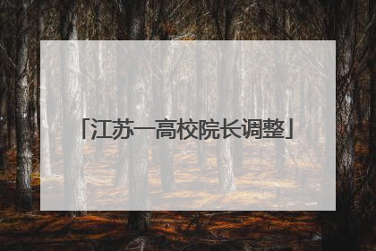 江苏一高校院长调整